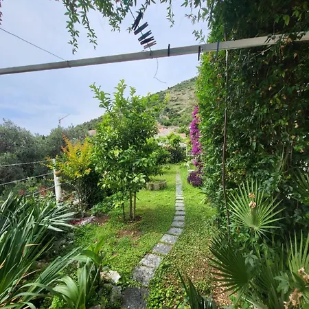 Greengarden Dubrovnik Extérieur photo
